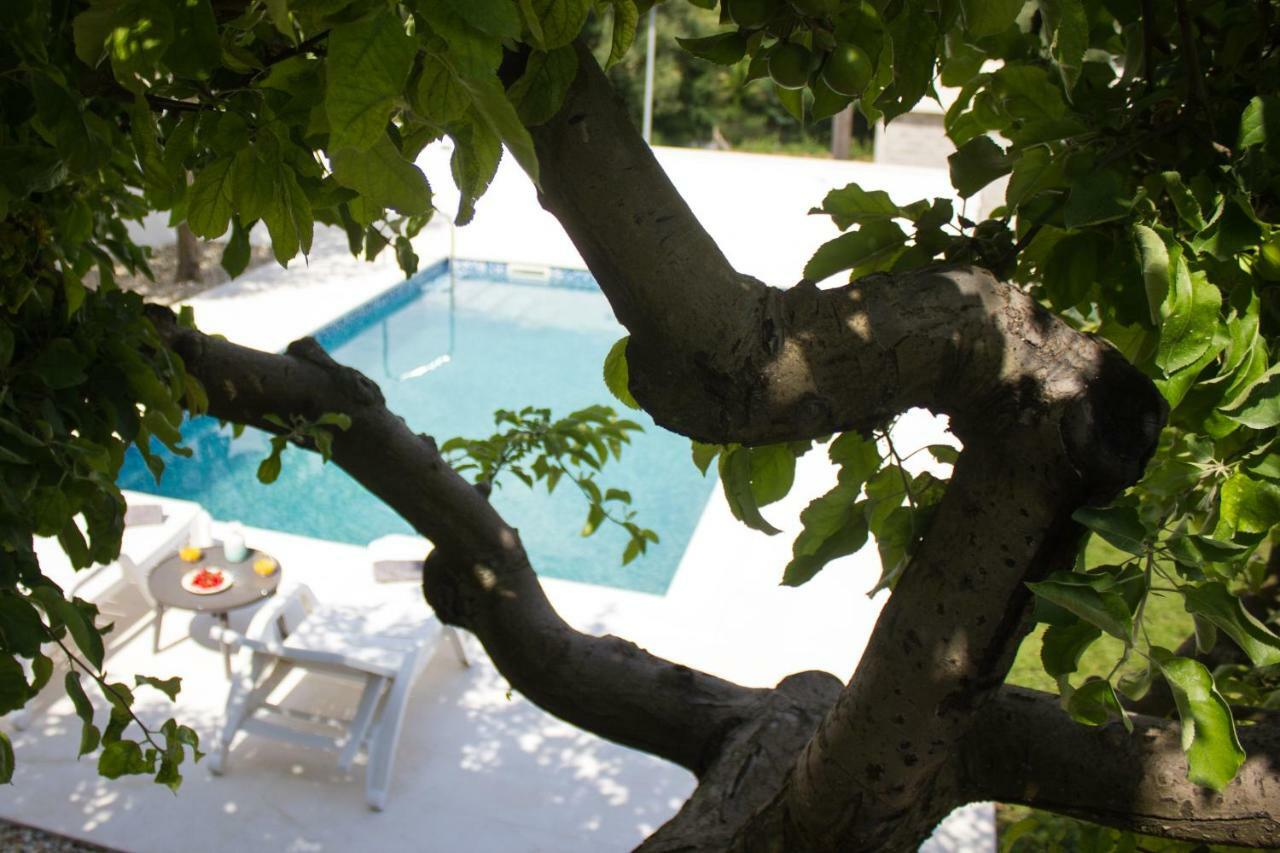 Villa Fig Zmijavci Экстерьер фото